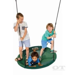 special needs play swings