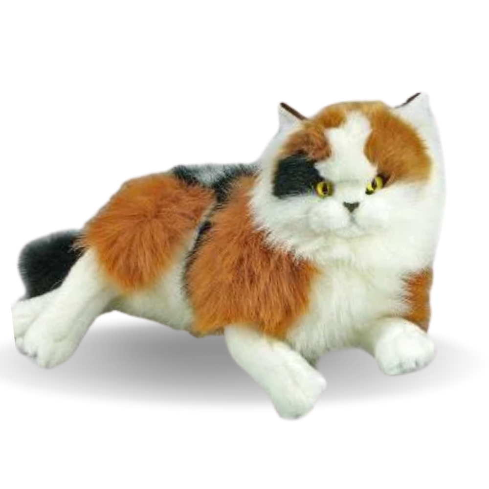 Kids Weighted Toy Cat | A Fun Play Range of Plush Toys